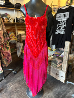 Dreaming in Red Fringe  Dress