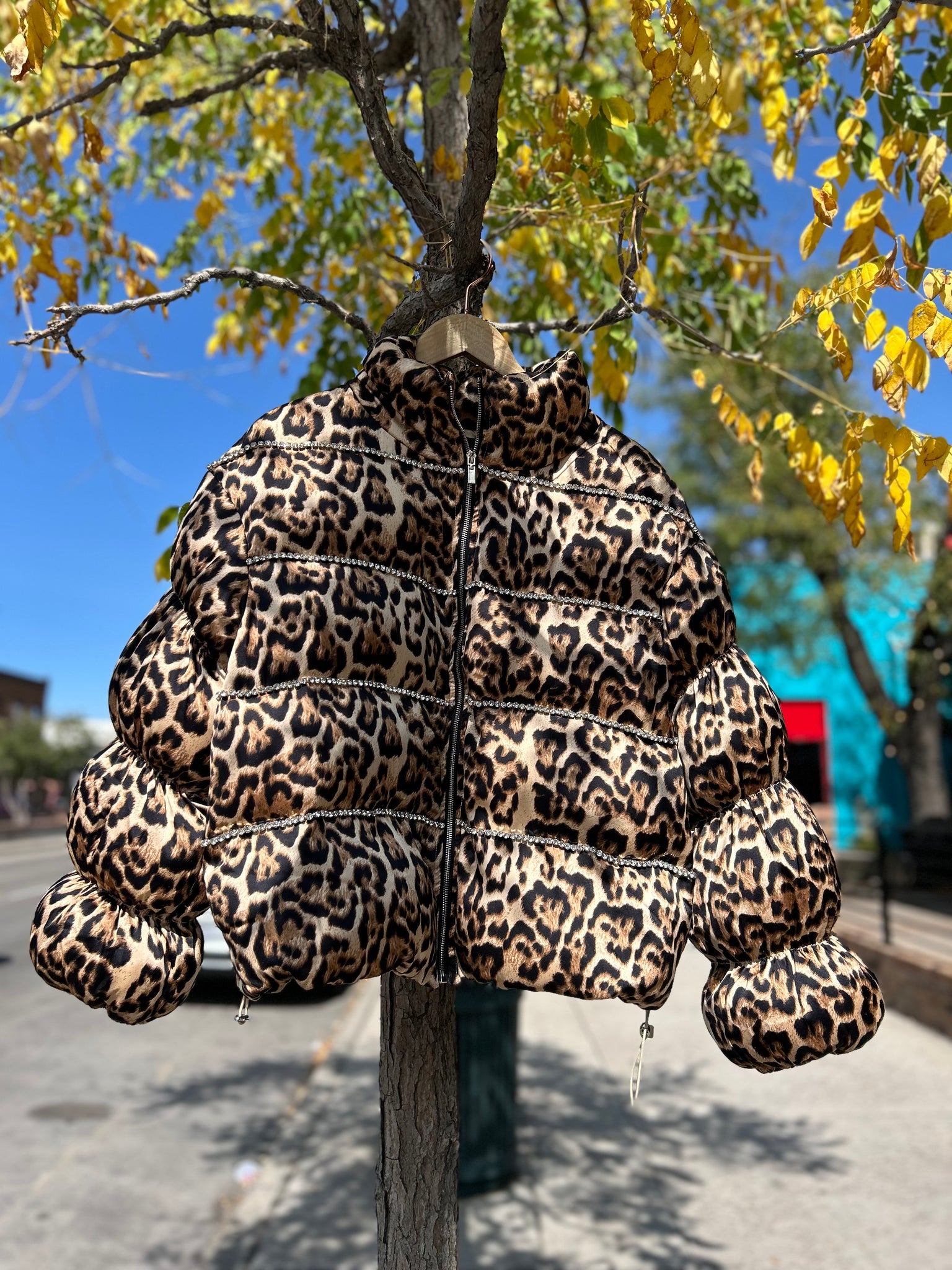 Leopard puffer