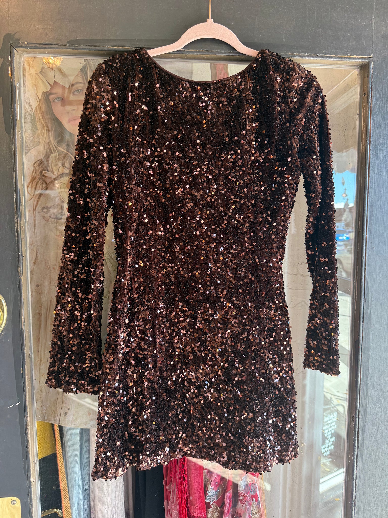Cybelle flocked sequin velvet  mini dress