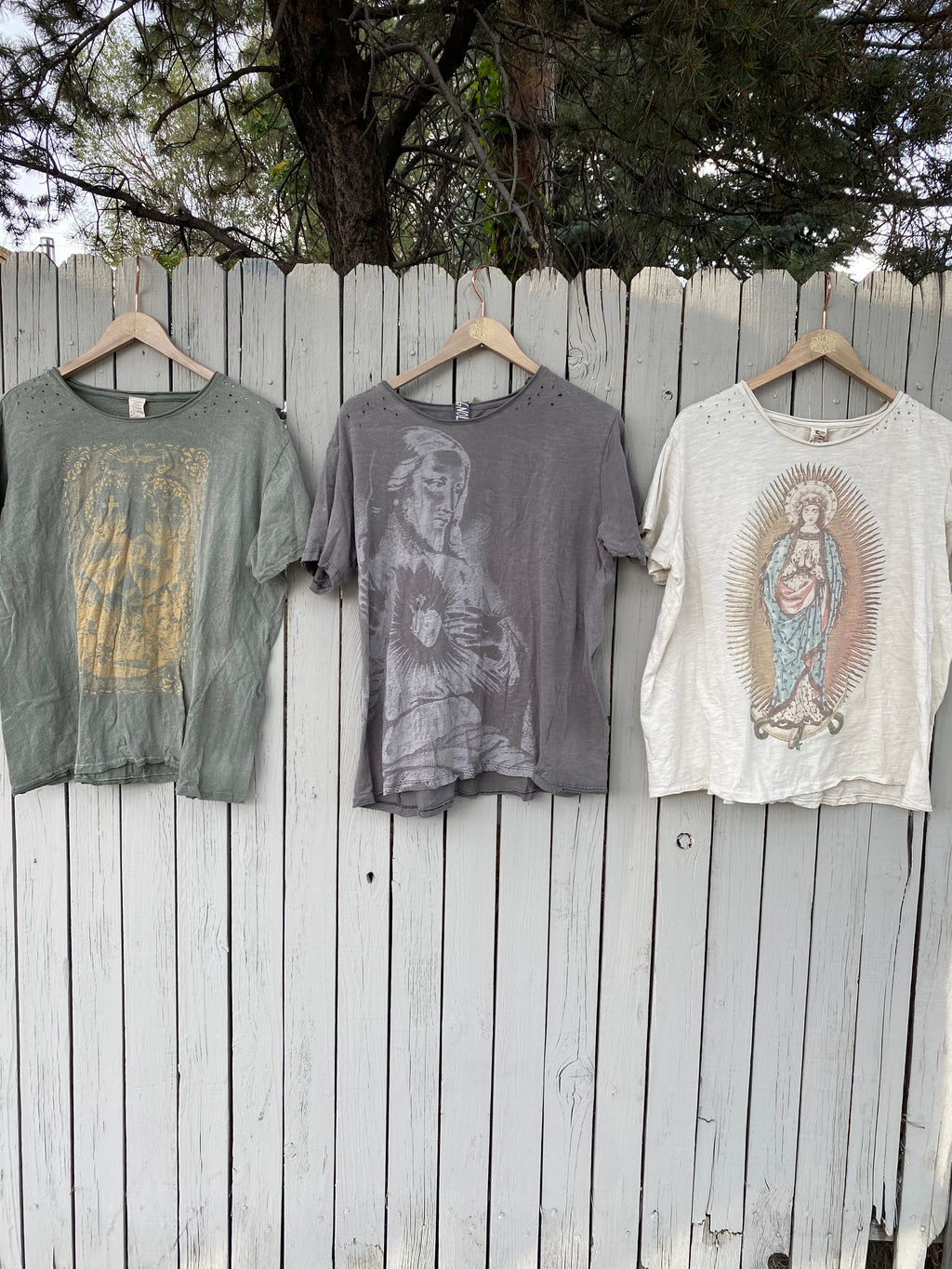 Magnolia Pearl Divine Light T