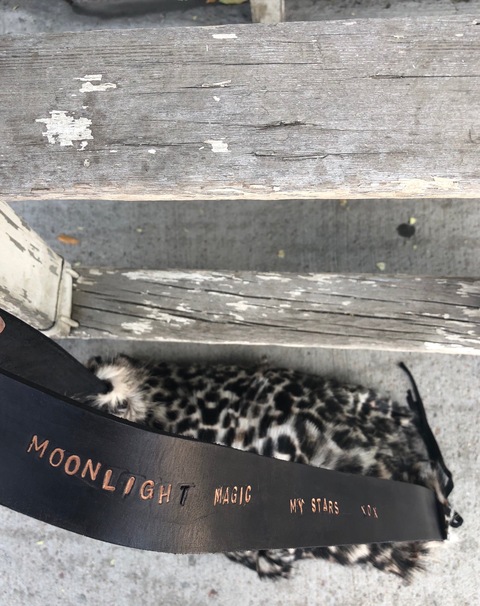 Moonlight magic handbag