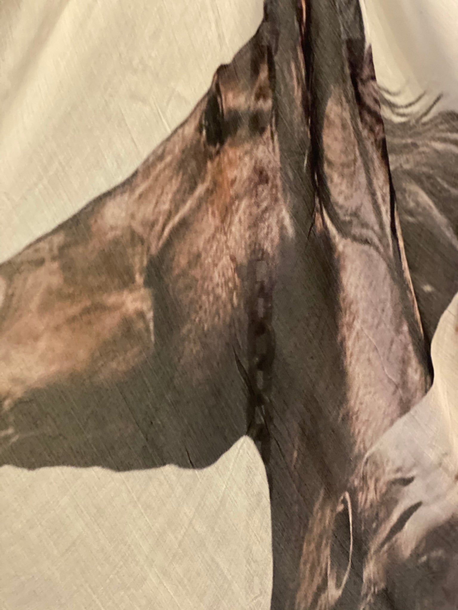 Running Horse tissue scarf