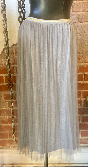 Outshine Metallic Skirt SALE !!!!!